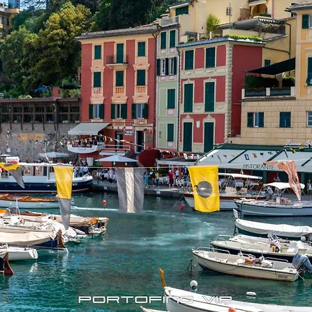 Papu 2 By Portofinovip * Portofino