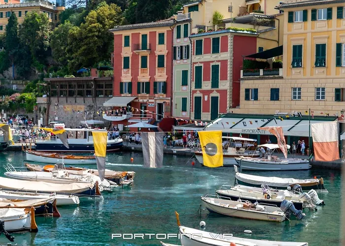 Papù 2 By Portofinovip * Portofino