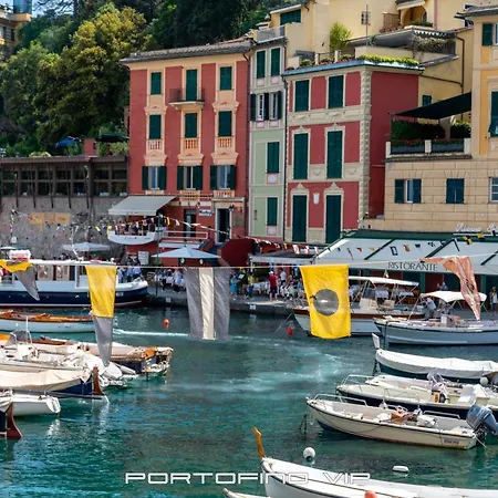 Papù 2 By Portofinovip * Portofino